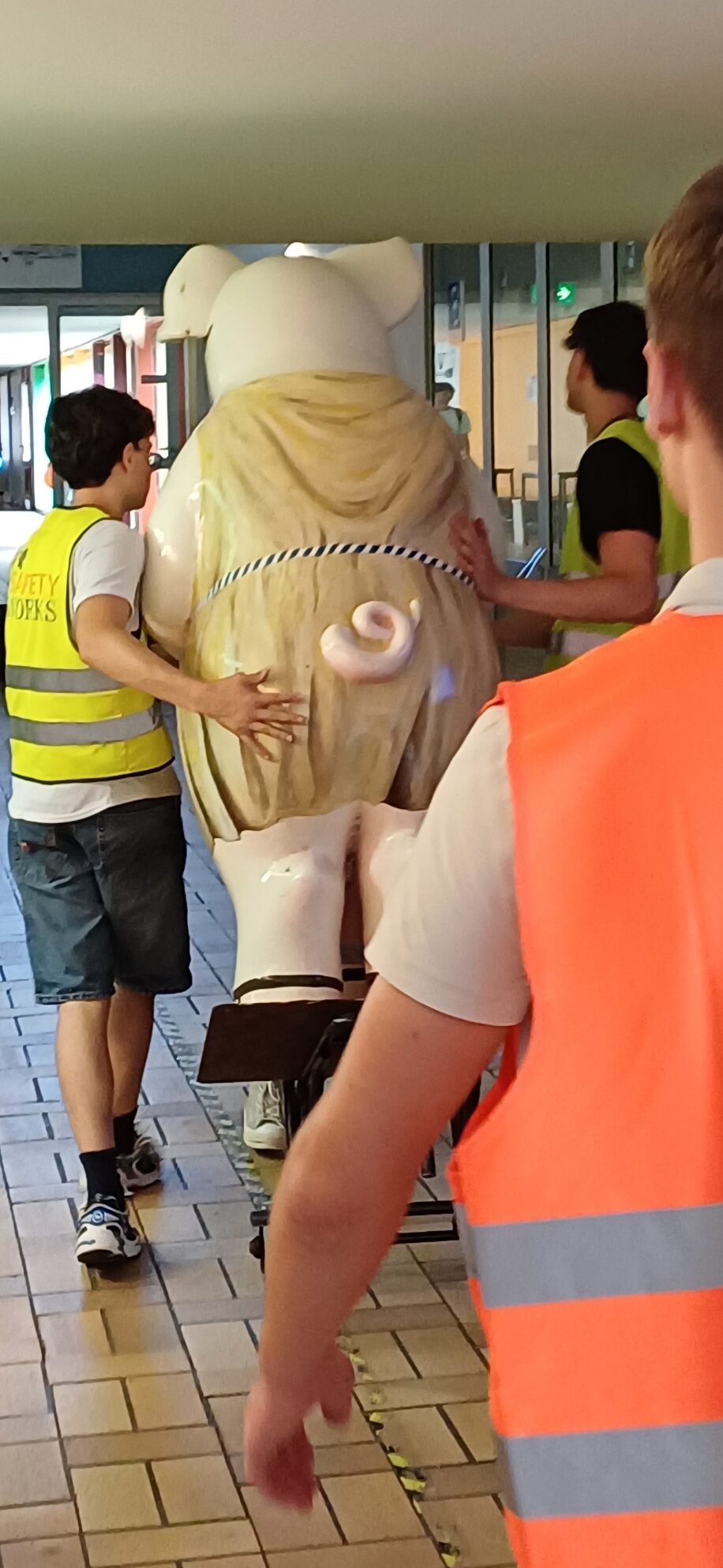 Ein Schwein wird transportiert.